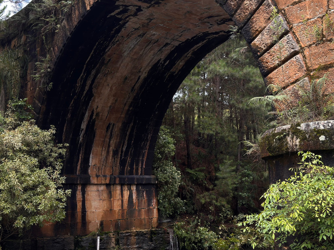 Recanto dos Papagaios-Palmeira必去景点