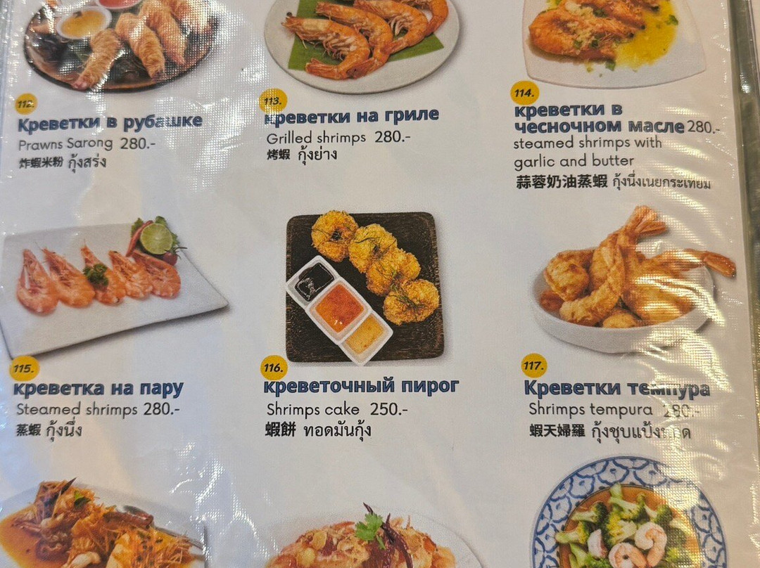 Elephant House Cafe