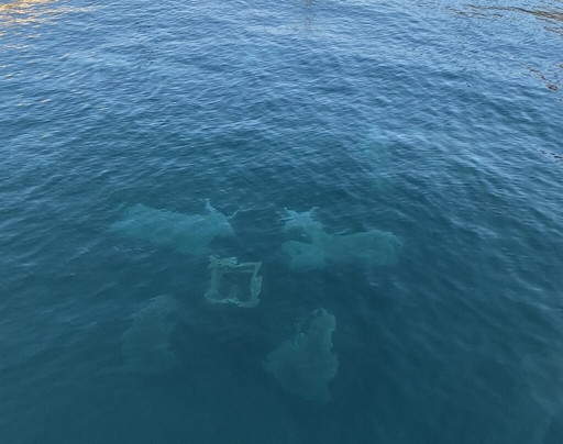 Il Padiglione degli Ufficiali-佩斯基耶拉德尔加尔达必去景点