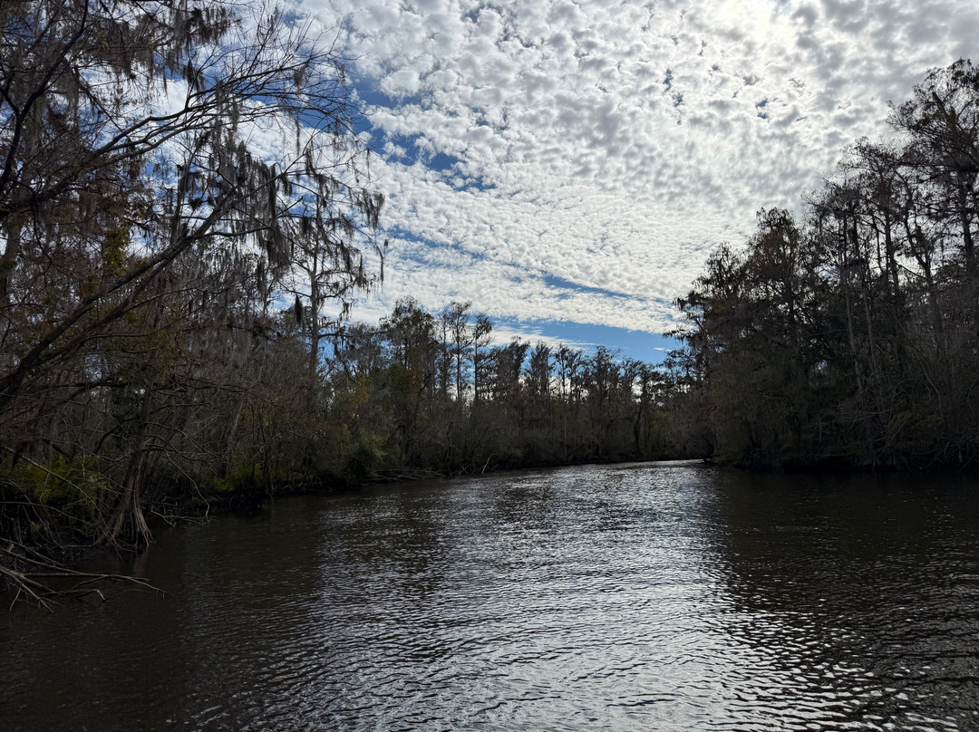 Seminole Wind Airboat tour-阿卡迪亚必去景点