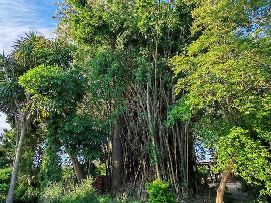 The Silos Guesthouse主图