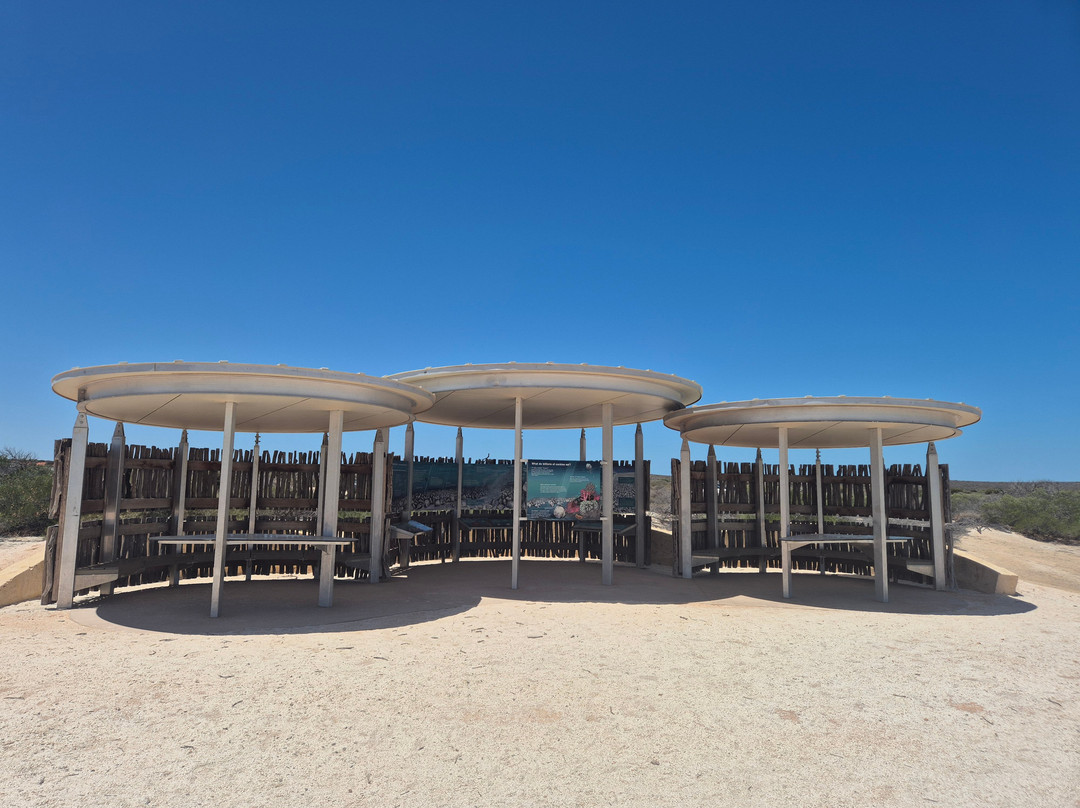 Shell Beach-德纳姆必去景点