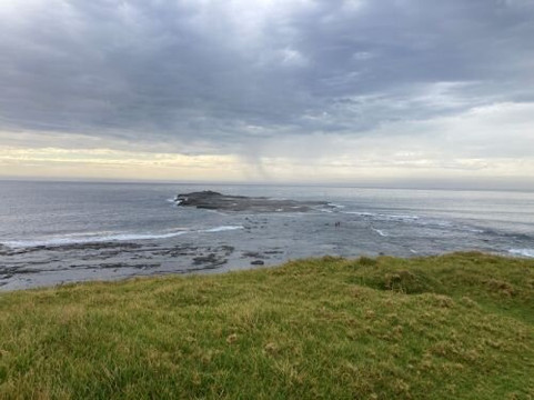 Black Head Reserve-Gerroa必去景点