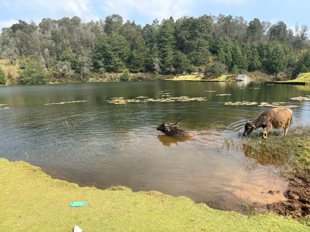 Mannavanur Lake-科代卡纳尔必去景点