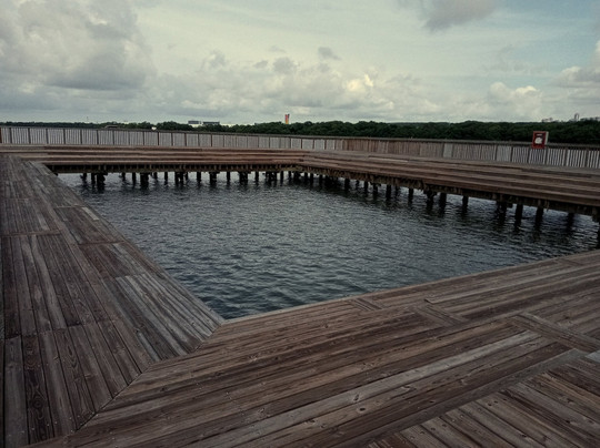 Ecoparque Ciénaga De Mallorquín-Barranquilla必去景点