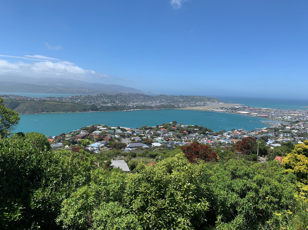 Silver Cloud Tours and Transfers-惠灵顿必去景点