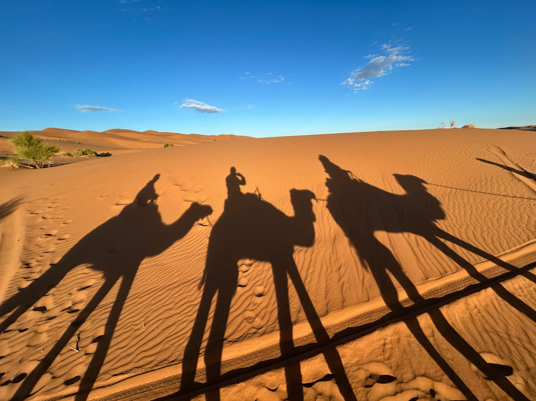 Marrakech Excursion-马拉喀什必去景点