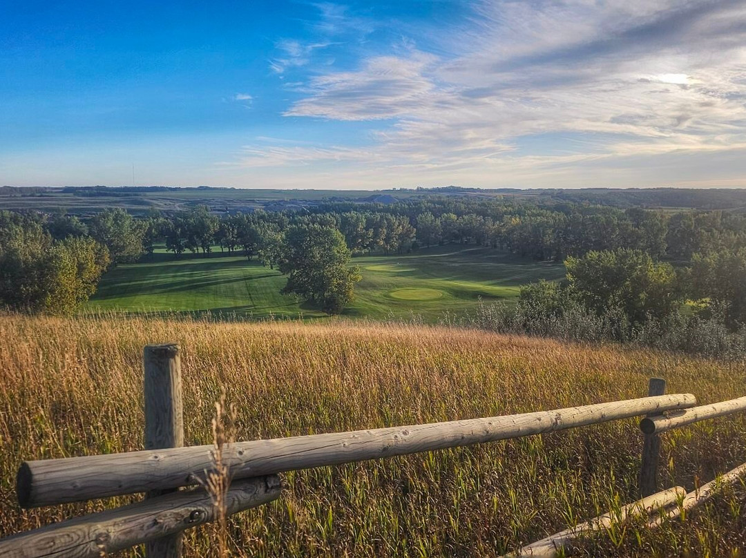 Sandy Beach Regional Park-劳埃德明斯特必去景点