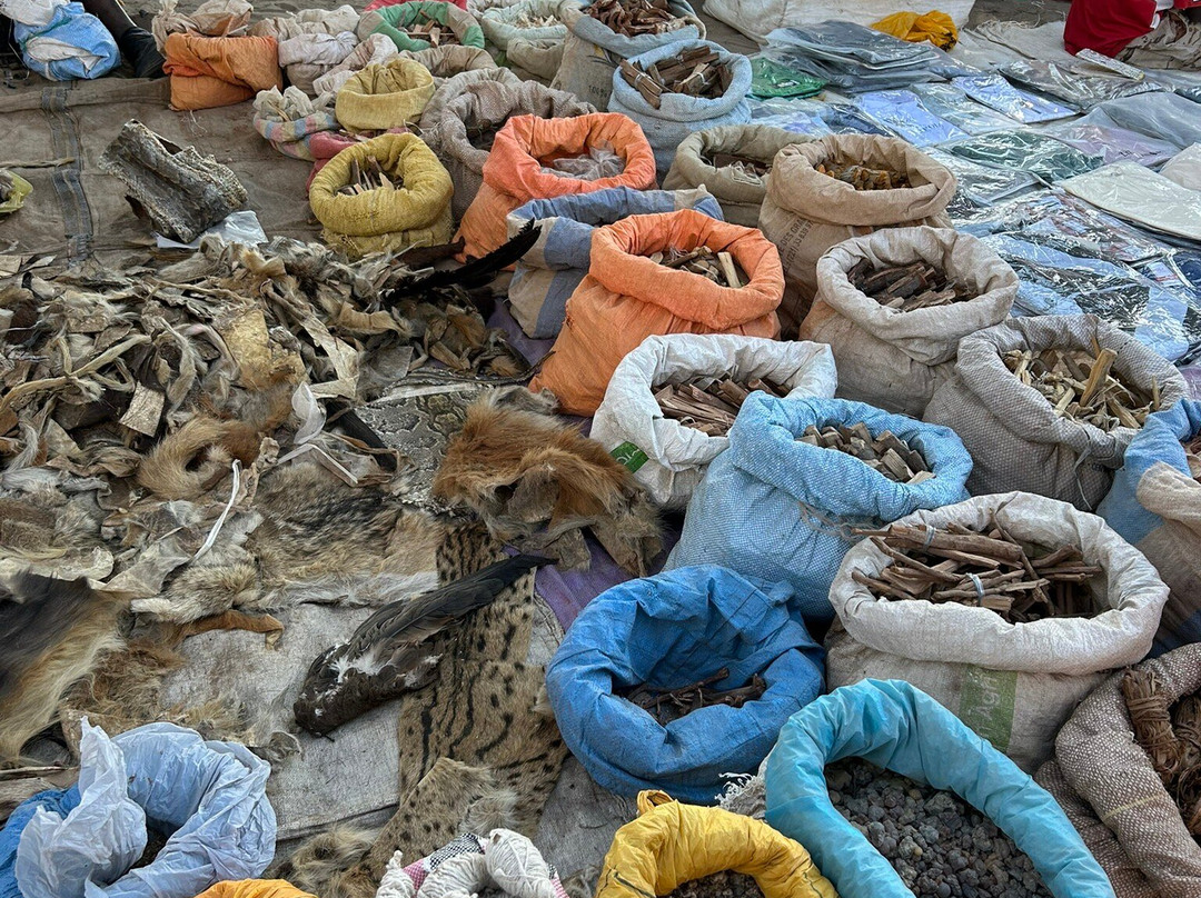 Max Sakho Chauffeur Guide-Saly必去景点