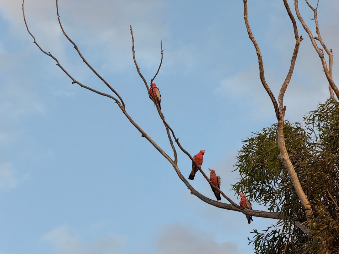 The Long Cottage主图