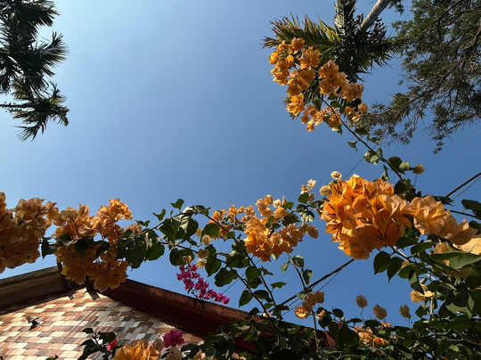 Rose Garden-Saputara必去景点