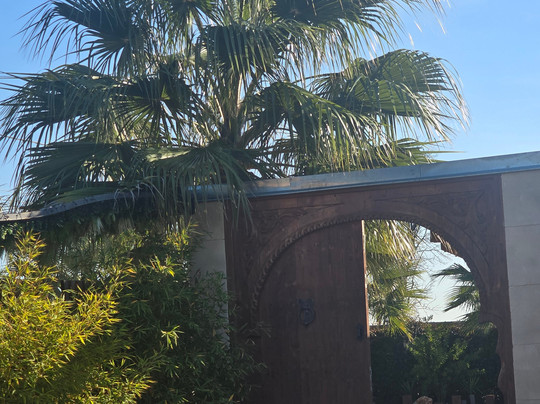 Bien-Être & Formation-Calvisson必去景点