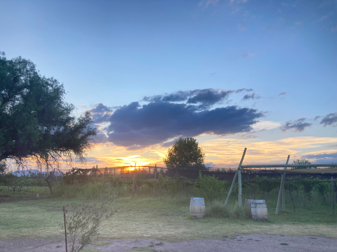 Bodega Terra Lombarda-圣拉斐尔必去景点