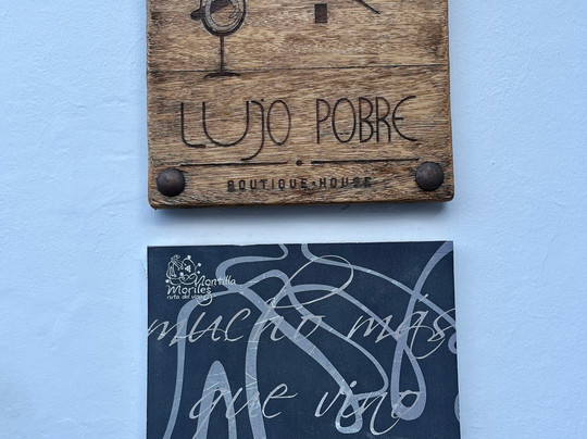 Boutique house LujoPobre主图