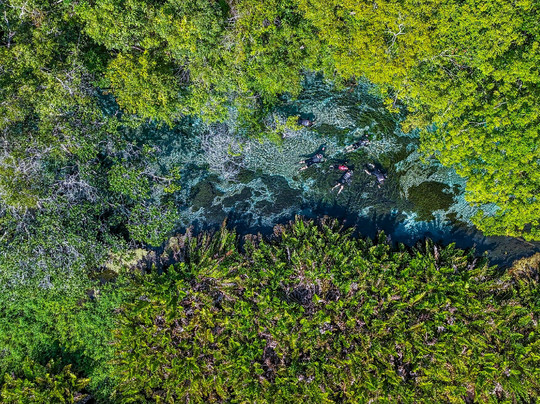 Rio Sucuri-博尼图必去景点