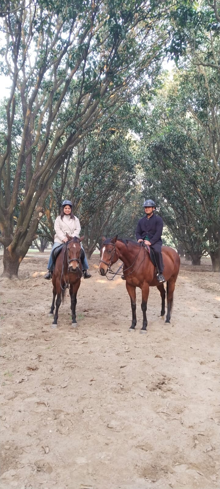 Aalia Jungle Retreat & SPA - Claridges Collection-官方