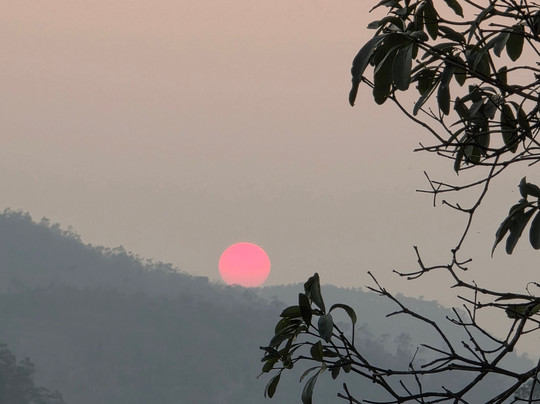 Paradise Eco Garden主图