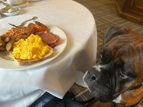 Heather Glen Country House主图