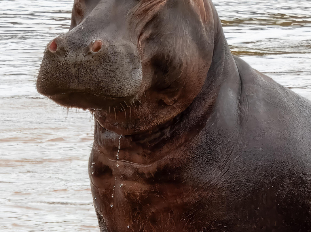 EverseenAfrica-霍德斯普鲁特必去景点