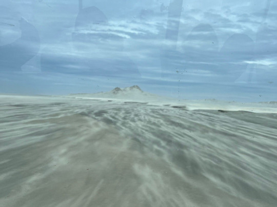 Farewell Spit Eco Tours-Collingwood必去景点