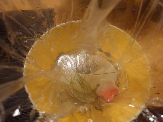 银波庄酒店主图