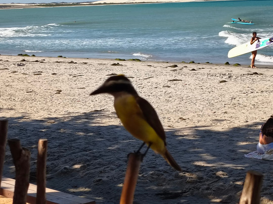 Pousada Ponta Da Pedra主图