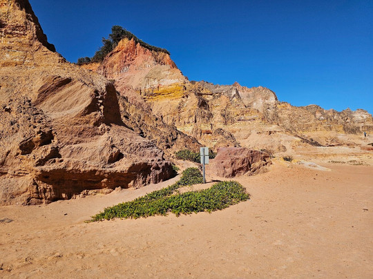 Fran6 Turismo Maceió-Maceio必去景点