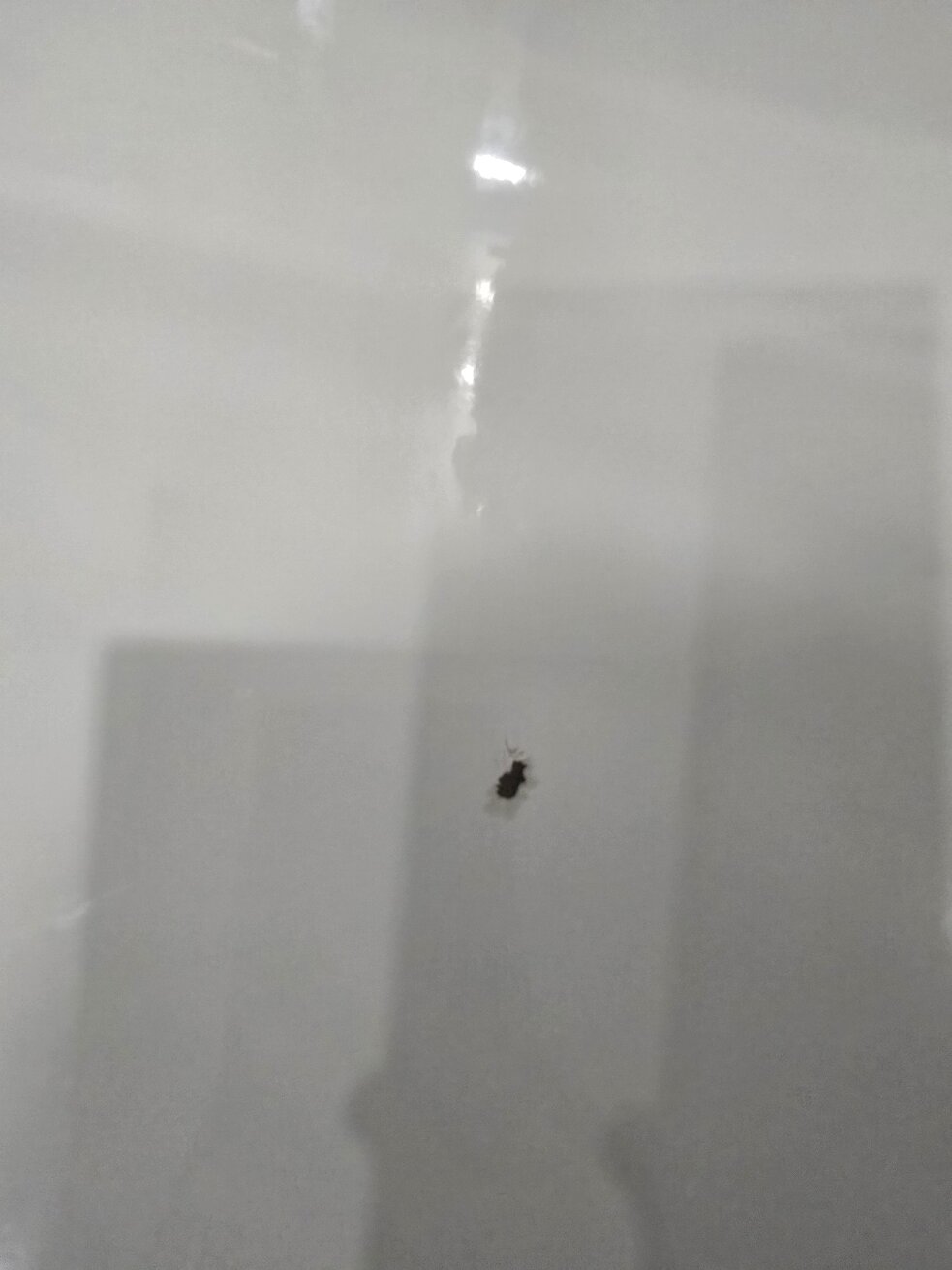 邓迪马尔梅森酒店-官方