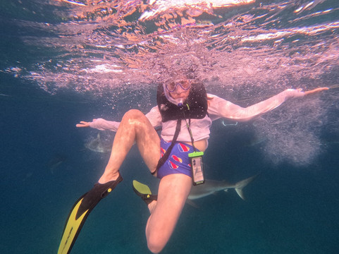 Neal Watson's Bimini Scuba Center-Alice Town必去景点