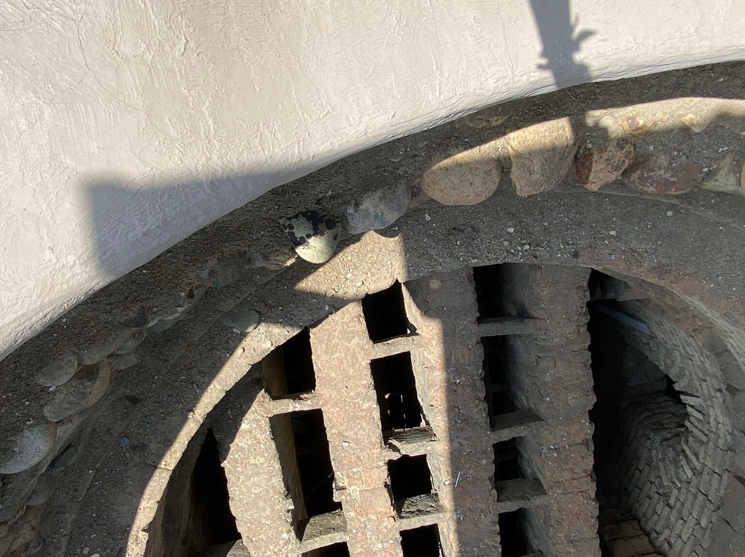 Museo Pumapungo-昆卡必去景点