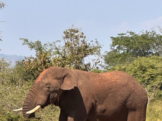 Mist Rwanda Safaris-Ruhengeri必去景点