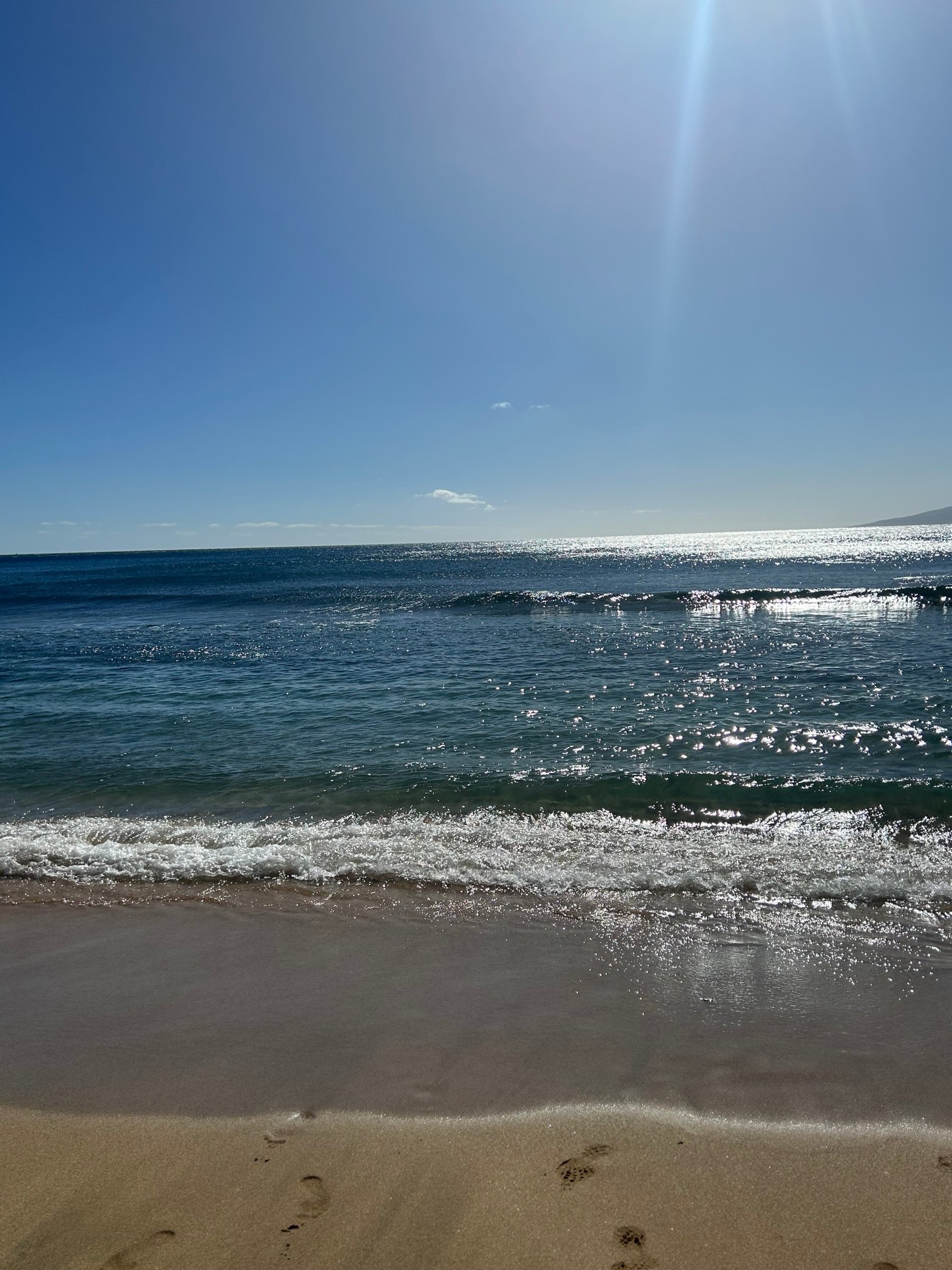 毛伊凯悦水疗度假酒店-官方