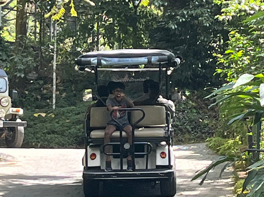 WGH Tall Trees Munnar主图