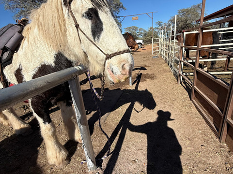 Double R Ranch-Elgin必去景点