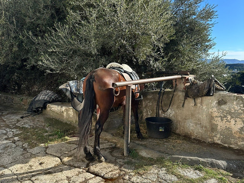 Andale Riding Nerja-内尔哈必去景点