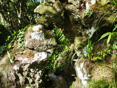 Poco da Ribeira do Ferreiro-Flores必去景点