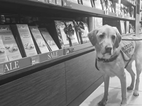 Cotswolds Designer Outlet-图克斯伯里必去景点