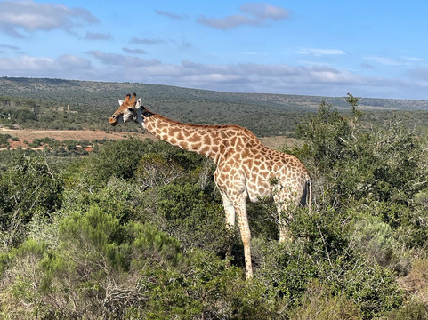 Take 2 Tours - Private Day Tours-开普敦中心区必去景点