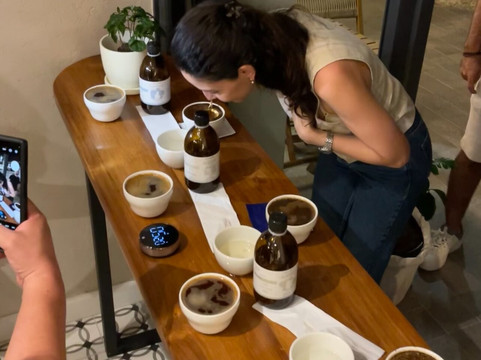 Geisha Terroir Specialty Coffe Shop