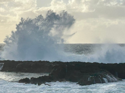 Shark's Cove-哈雷瓦必去景点