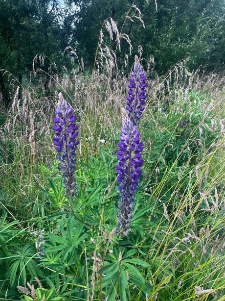 箭镇夜色酒店-官方