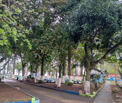 Vargas Park-利蒙港必去景点