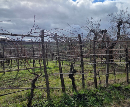 Biondi-Santi Tenuta Greppo-蒙塔尔奇诺必去景点