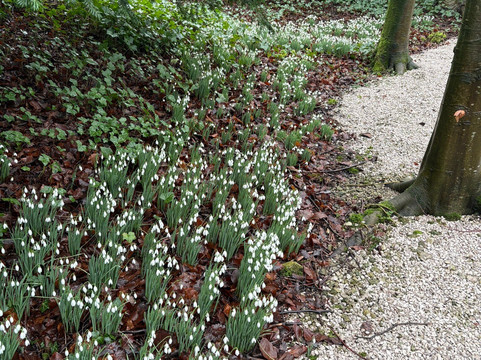 Hopton Hall Gardens-Hopton必去景点