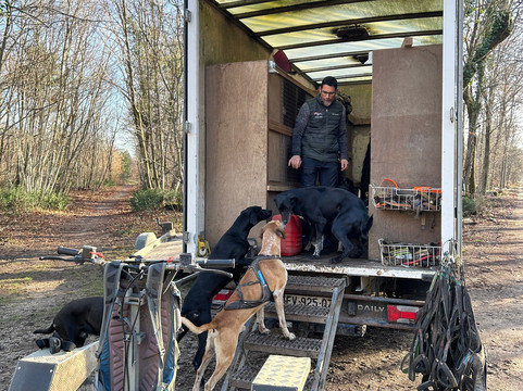 Evasion Canine-枫丹白露必去景点