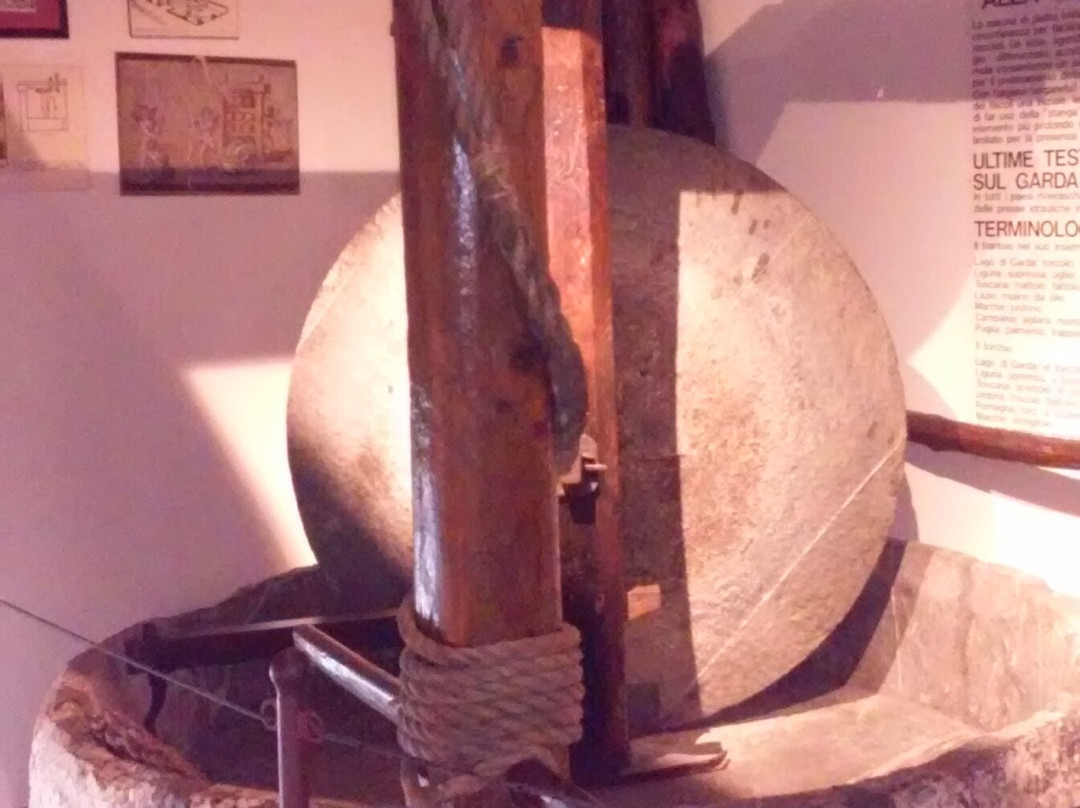 Museo Dell'olio D'oliva-Cisano必去景点