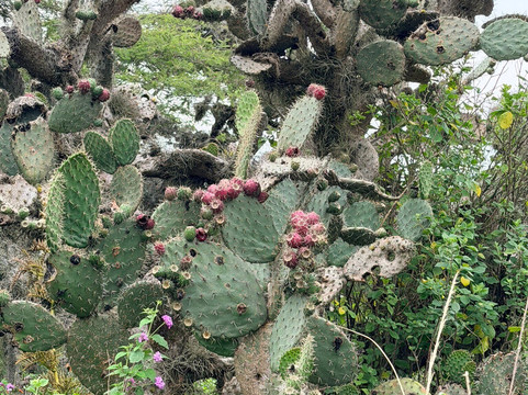 Bosque Protector Jerusalem-Guayllabamba必去景点