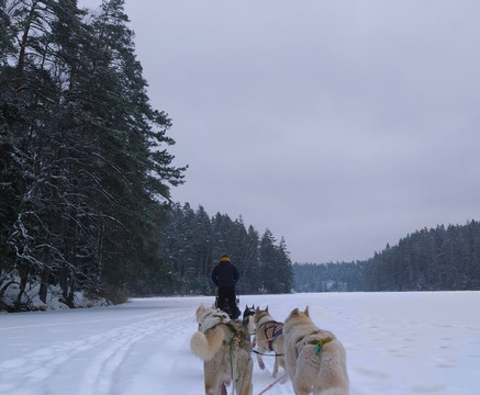 Arctic Expedition-埃斯波必去景点
