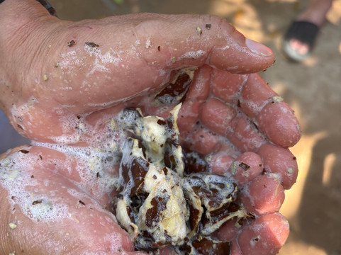 Best Huatulco Tours-瓦图尔科必去景点