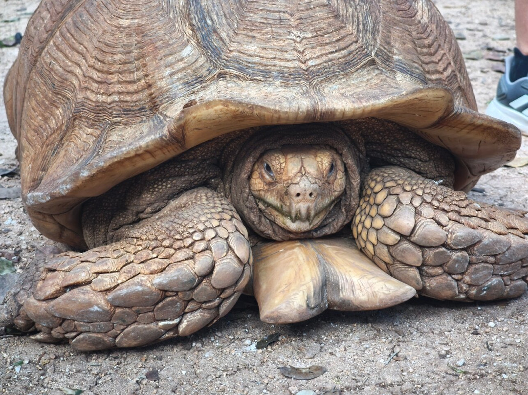 Toolok kaa'n-从莫雷洛斯港必去景点